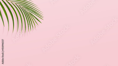 Green leaf branches or leaves on pink background. Top view , flat lay and copy space