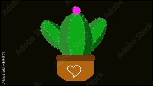 cactus in a pot  