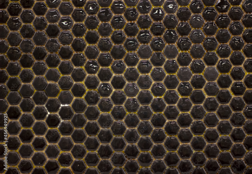 small block mosaic glossy black honeycomb ceramic tile background close-up small block mosaic glossy black honeycomb ceramic tile background close-up