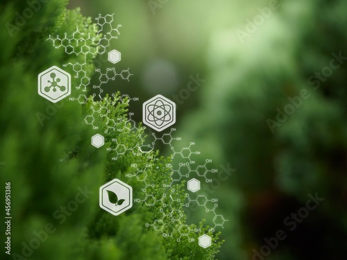 Plants background with biochemistry structure.