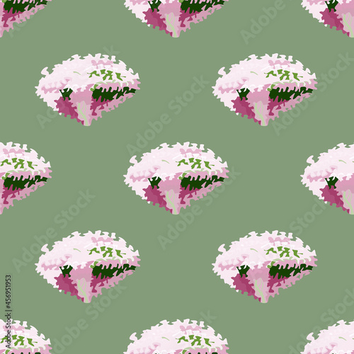 Seamless pattern lola rosa salad on pastel green background. Abstract ornament with lettuce. photo
