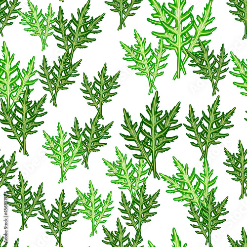 Seamless pattern bunch arugula salad on white background. Modern ornament with lettuce.