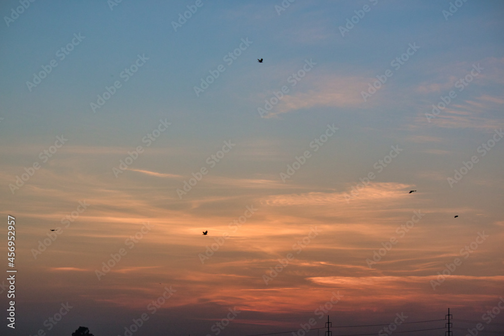 “Clouds come floating into my life, no longer to carry rain or usher storm, but to add color to my sunset sky.” “Clouds come floating into my life, no longer to carry rain or usher storm, but to add color to my sunset sky.”