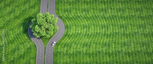 Fotografia Sustainable road surrounding a centenary tree