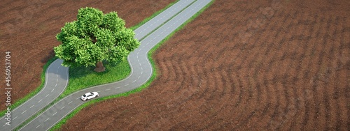 Photos Sustainable road surrounding a centenary tree