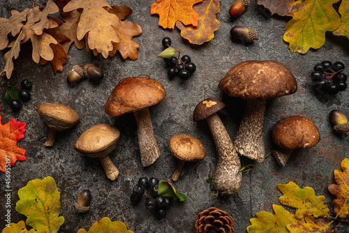 Boletus mushrooms with autumn oak leaves over dark stone background. Top view autumn background