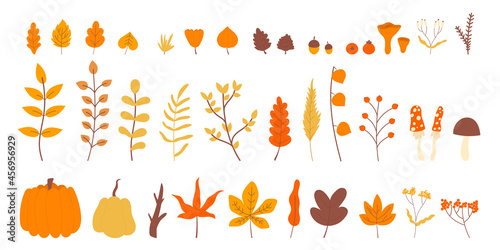 Autumn leaf on tree branch, nature plants, fall simple decoration element set vector illustration. Cartoon autumn floral collection of forest or garden leaves, red berry, wild flower isolated on white