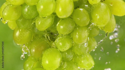 Drops of water splash off fresh grapes..