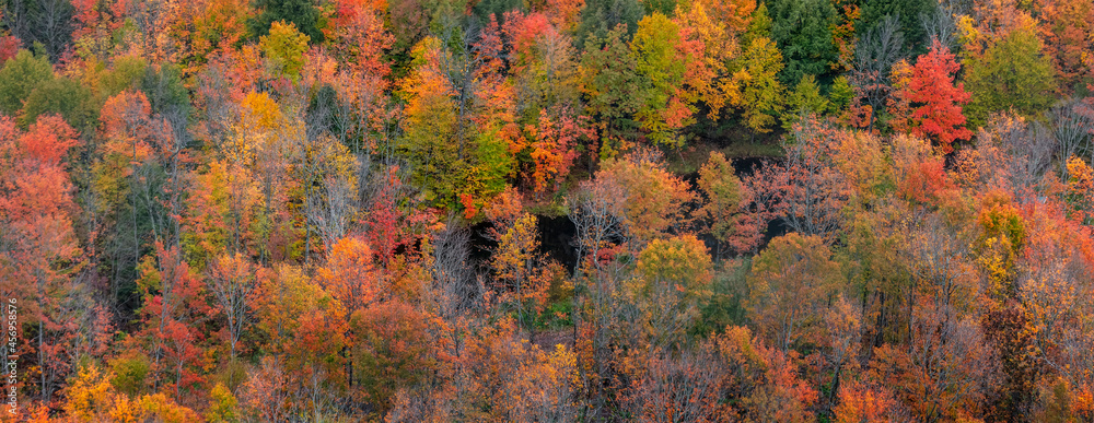 Aerial view of Black river national forest with colorful fall foliage in Michigan upper peninsula.