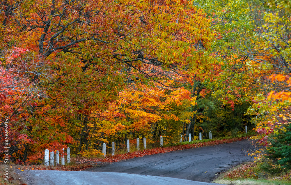 Lush colorful autumn trees along scenic Brockway mountain drive in Michigan Upper peninsula.