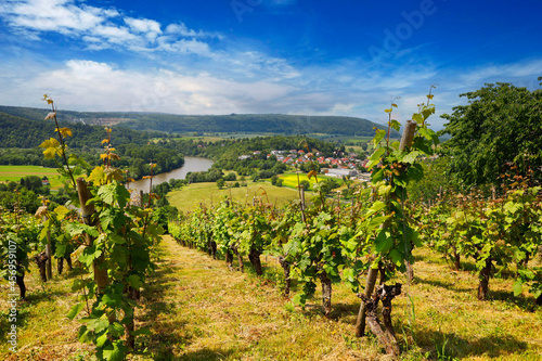 The Neckar Valley, View from the Michelsberg, Gundelsheim, Baden-Württemberg in Germany, Europe