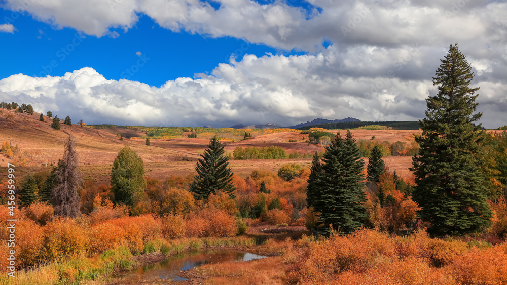 Panoramic view of conifer trees in Colorado surrounded by Fall foliage with cloudy sky during autumn time
