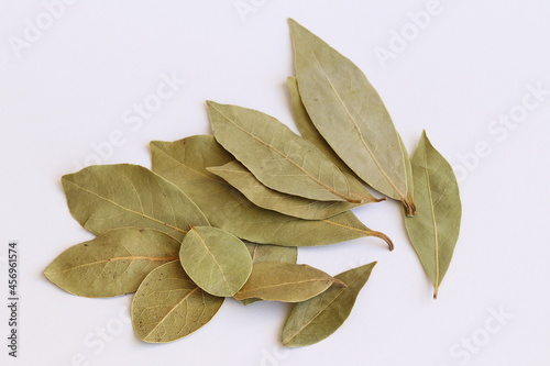 Bay leaf on a light background. Bay leaf is a culinary condiment. 