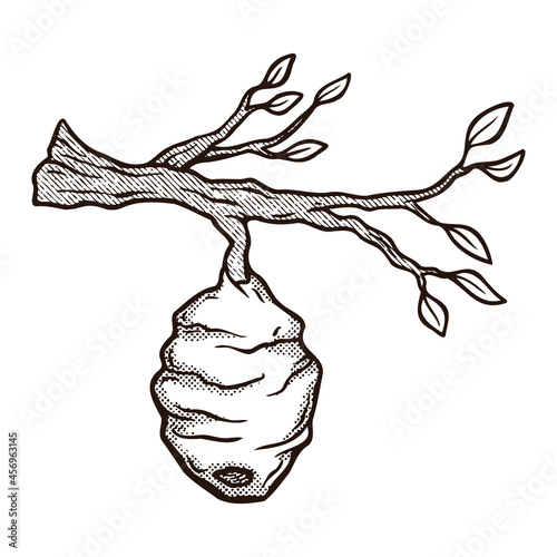 Honey hand drawn decorative icons with hive isolated vector inl illustration