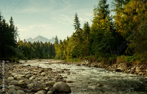 Bialka river in Podhale region, Poland photo