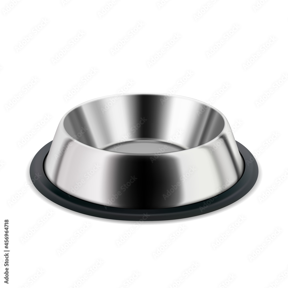 Metallic Plate For Pet Food And Water Drink Vector. Blank And Empty Steel Metal Plate For Feeding Domestic Animal Cat Or Dog. Puppy And Kitten Accessory Template Realistic 3d Illustration Metallic Plate For Pet Food And Water Drink Vector. Blank And Empty Steel Metal Plate For Feeding Domestic Animal Cat Or Dog. Puppy And Kitten Accessory Template Realistic 3d Illustration