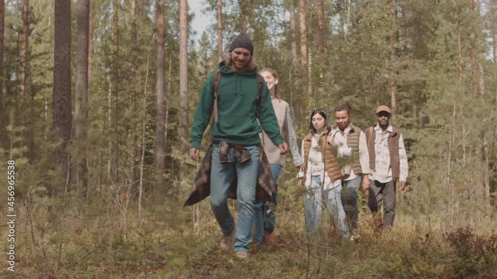 Tracking shot of group of five young adult friends in casualwear with backpacks walking outdoors in forest and having conversation during hike or camping trip Tracking shot of group of five young adult friends in casualwear with backpacks walking outdoors in forest and having conversation during hike or camping trip