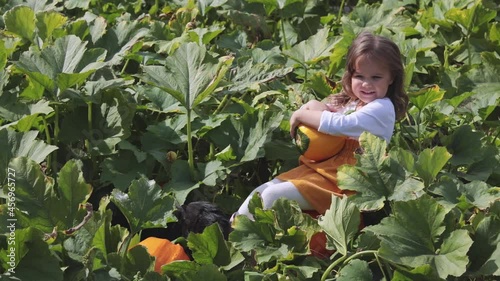 A girl in a pumpkin field on a farm holds a yellow pumpkin in her hands. Nature video. 