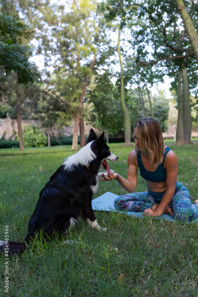 Woman sitting and holding paw of dog while training in park Woman sitting and holding paw of dog while training in park