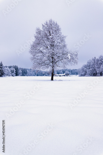 Lindenberg Winter