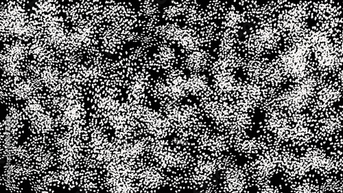 Black noise texture. Static interference grunge vector background.
