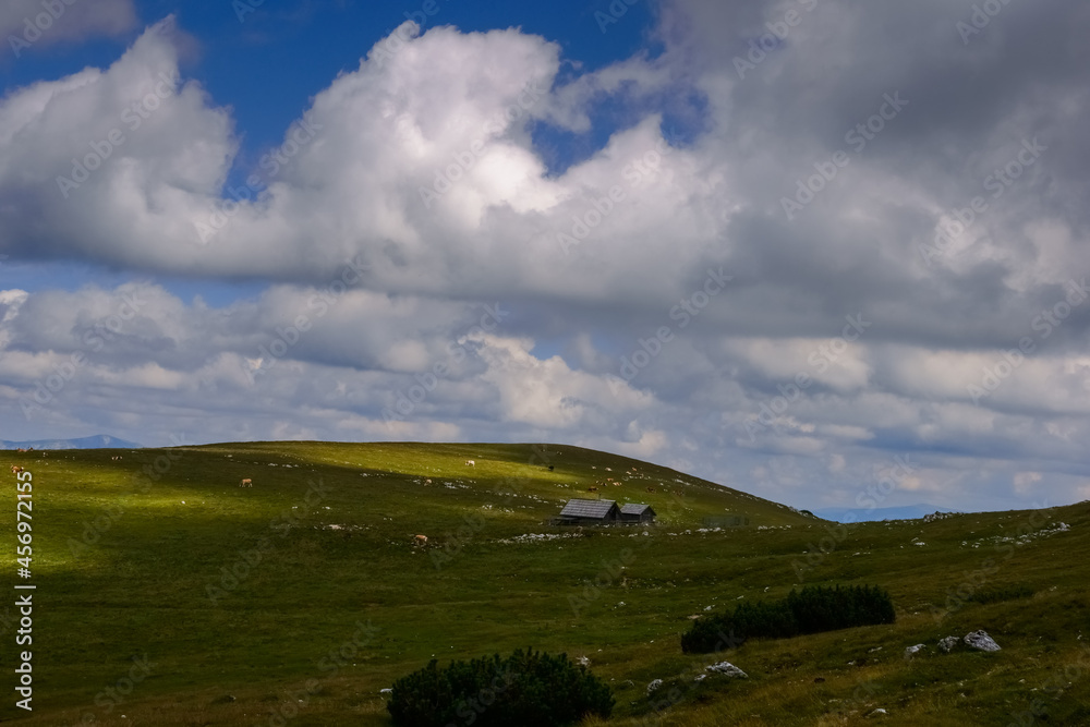 Fototapeta premium alpine hut in the green mountain landscape with white clouds on the sky