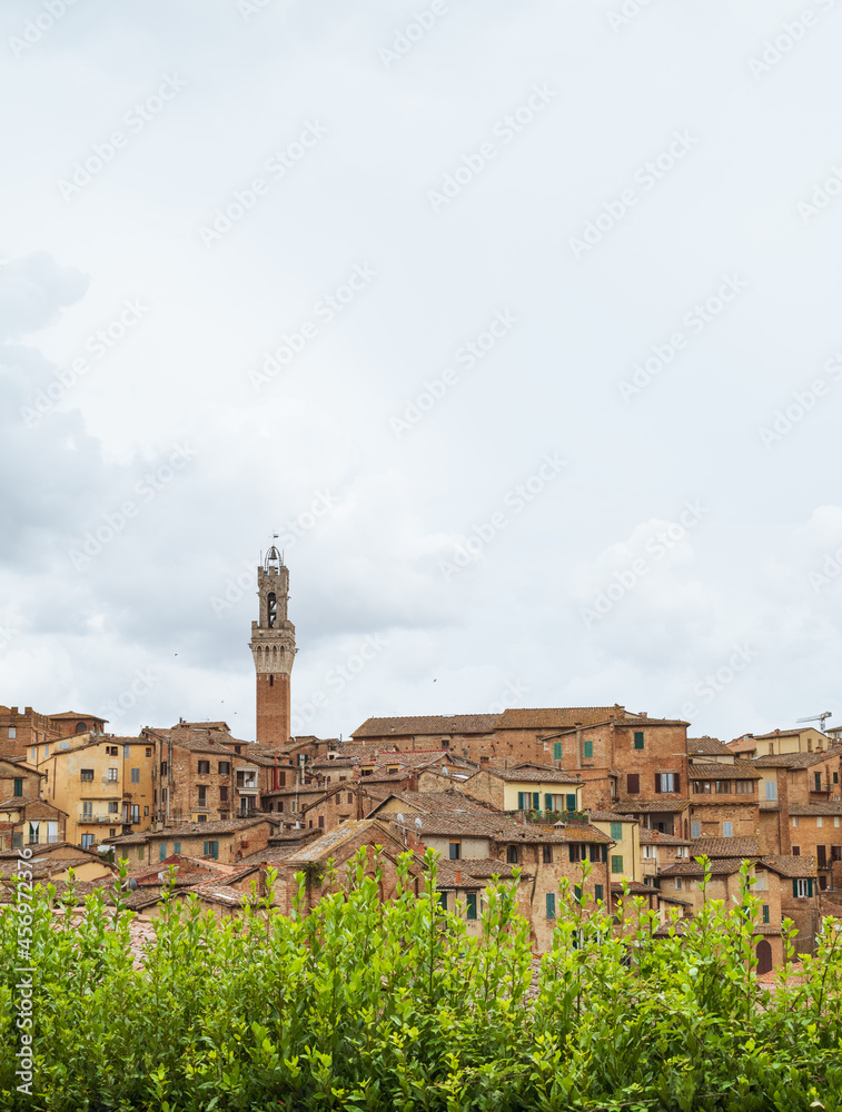 Siena - Tuscany 