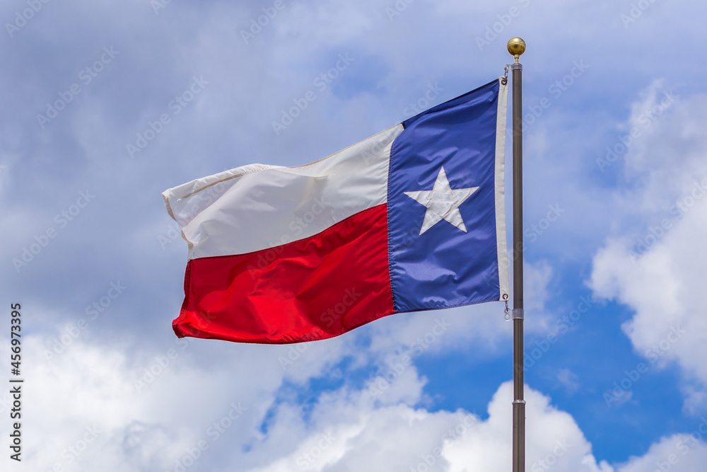 Fototapeta premium State of Texas flag against cloudy sky