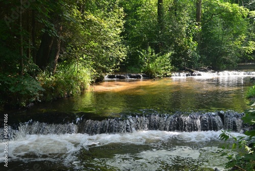 Rezerwat Szumy nad Tanwią, Susiec, Polska