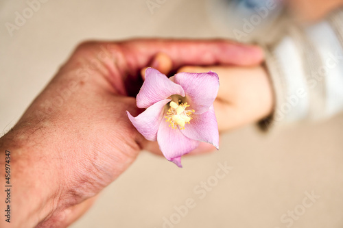 child's hand handing a flower to his father's hand