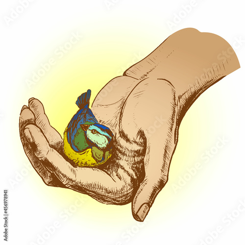 little cute warm tit in human hand