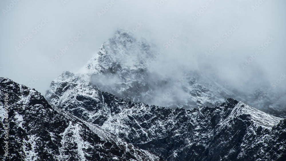 Obraz premium black and white