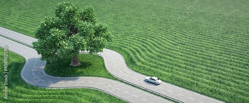 Sustainable road surrounding a centenary tree. Vehicle driving between green field.  photo