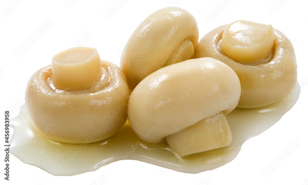 Champignons em grupo de quatro com calda em fundo branco para recorte. Champignons em grupo de quatro com calda em fundo branco para recorte.