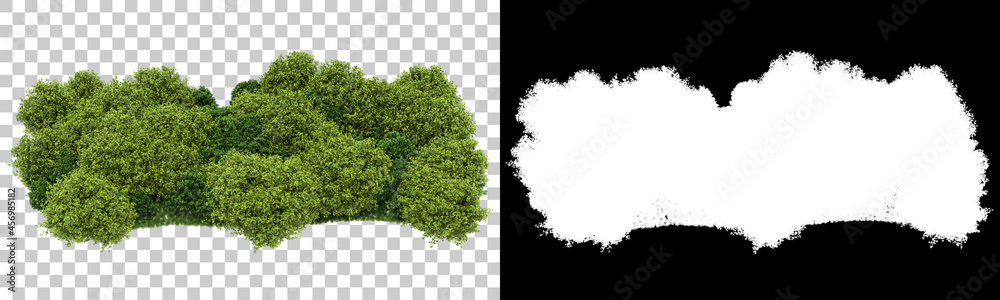 Forest isolated on background with mask. 3d rendering - illustration Forest isolated on background with mask. 3d rendering - illustration