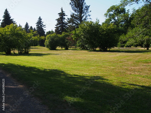 path in the park