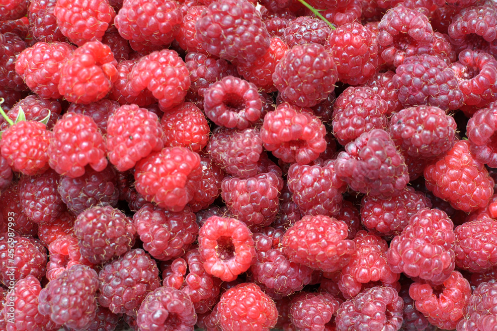 Background with raspberries Background with raspberries