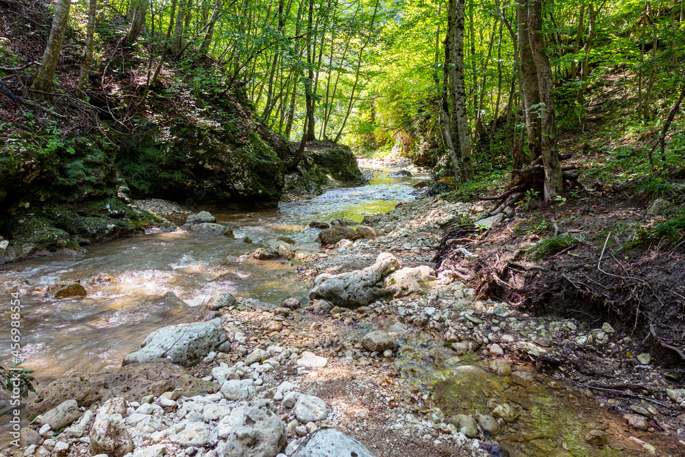 Mountain rivers originating high in the mountains, a journey through the canyon of the river on a sunny summer day, under the canopy of the forest, not well-traveled tourist routes. Mountain rivers originating high in the mountains, a journey through the canyon of the river on a sunny summer day, under the canopy of the forest, not well-traveled tourist routes.