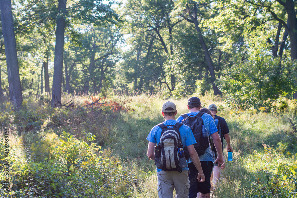 A group of hikers in a sunny forest A group of hikers in a sunny forest
