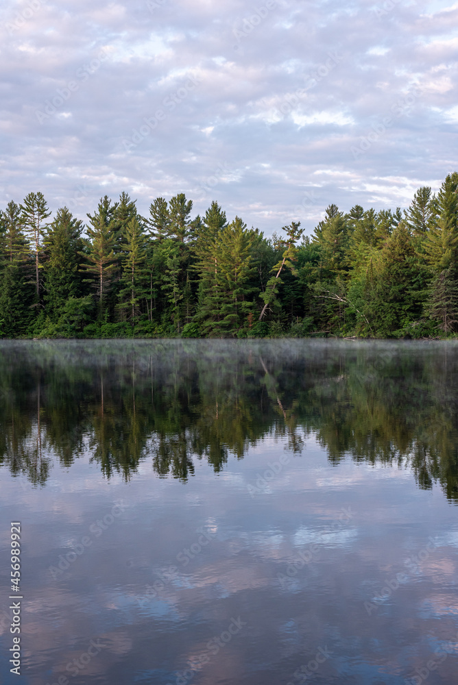 reflection of trees in the lake