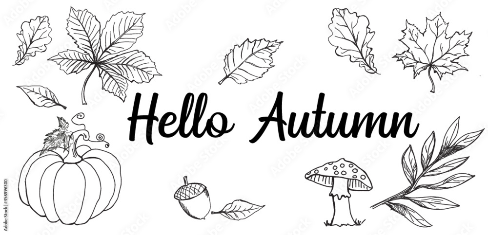jesień, hello autumn, wiewiórka, łąki, pola, wieś, wioski, pejarztapeta, wzór, deseń, ilustracja, projekt, sztuka, jesienią, element, dekoracja, losowanie, drzew, set, tekstura, pora roku, plik wektor