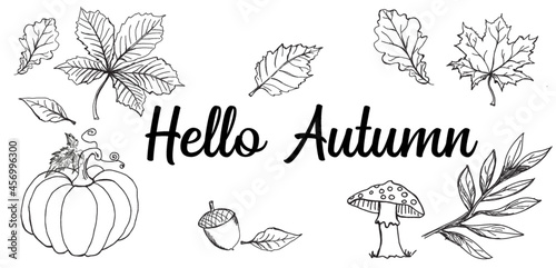 jesień, hello autumn, wiewiórka, łąki, pola, wieś, wioski, pejarztapeta, wzór, deseń, ilustracja, projekt, sztuka, jesienią, element, dekoracja, losowanie, drzew, set, tekstura, pora roku, plik wektor