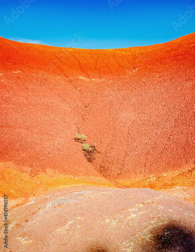 bushes on red and yellow hillside photo