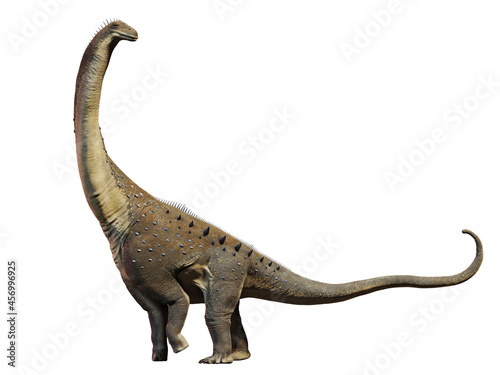 Alamosaurus  dinosaur from the Late Cretaceous period isolated on white background