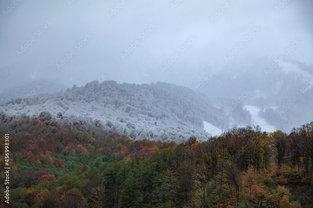 A snow-covered autumn mottled forest on the top of a mountain in the fog.