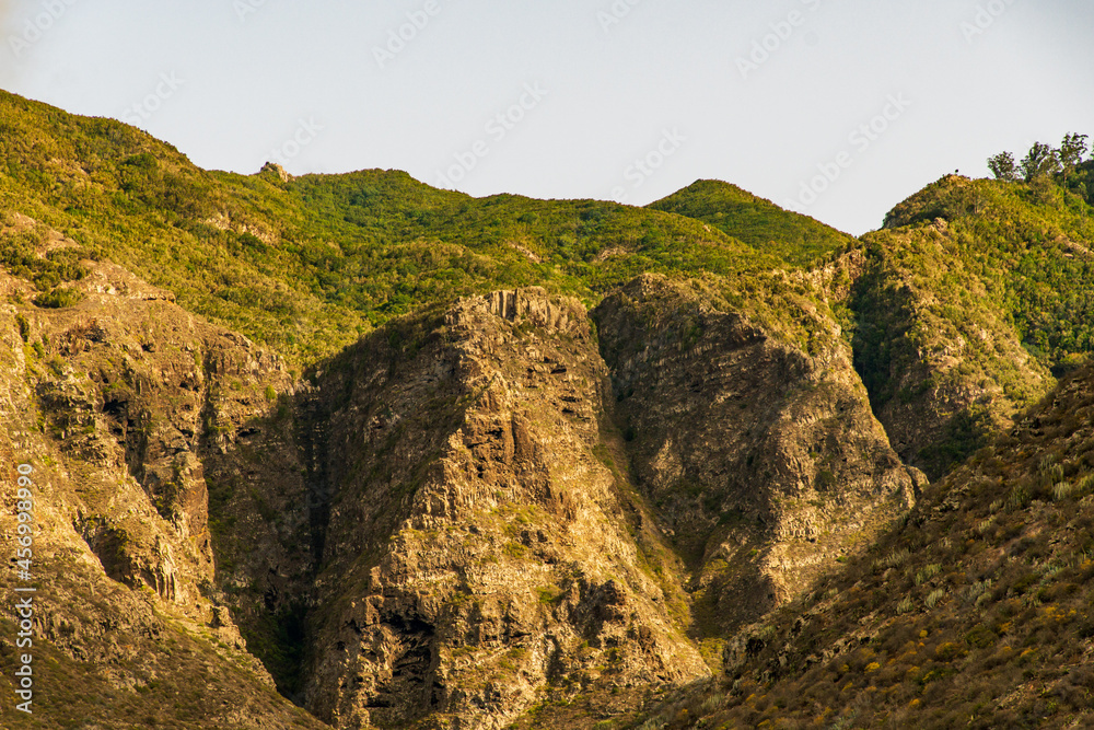 Montaña con vegetación verde en la isla de Tenerife