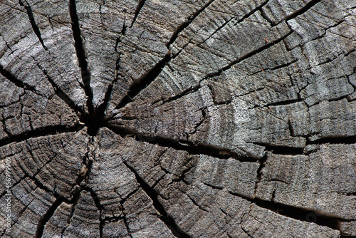Cracks cover old wood hemp.