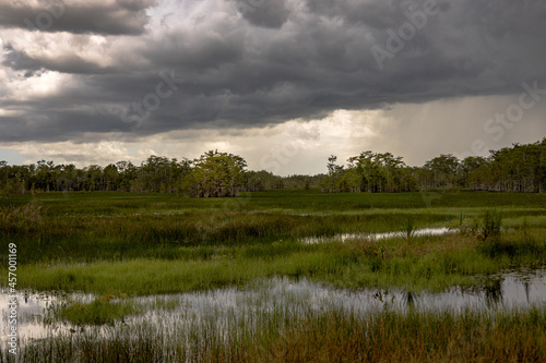dark rain clouds over the florida everglades © Joe Ciciless