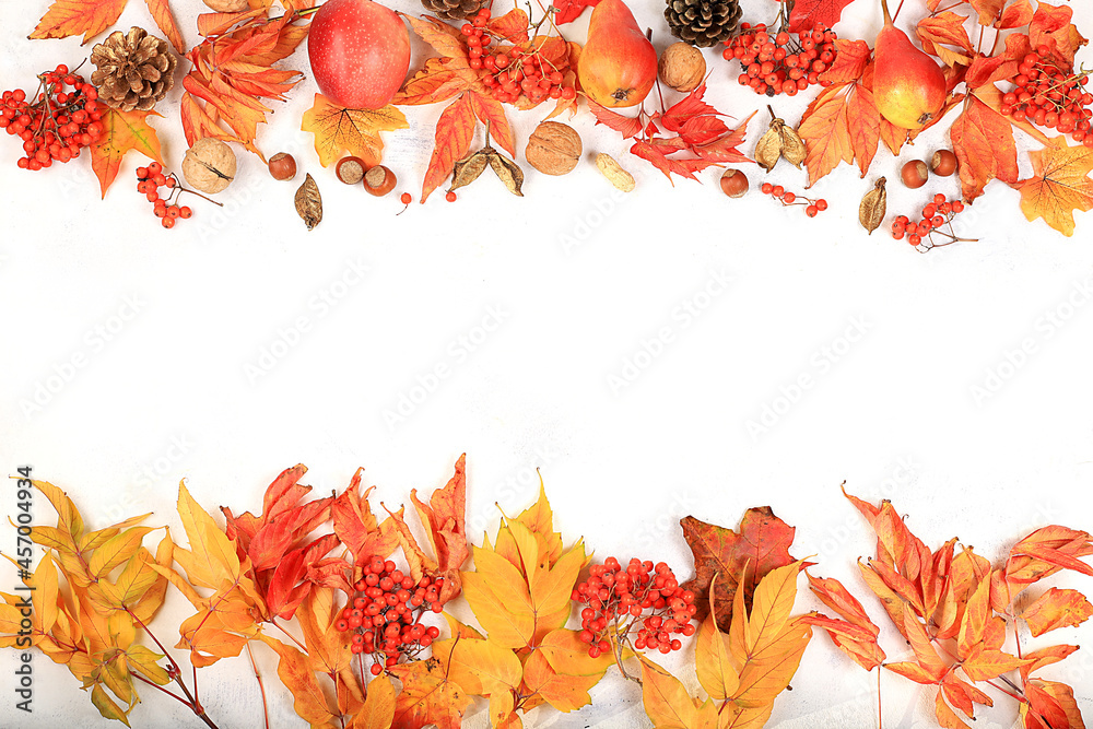 Frame with maple leaves, pine cones, nuts, apples, pears and rowan berries, autumn abstract composition with place for text, thanksgiving day concept, seasonal background, banner, 