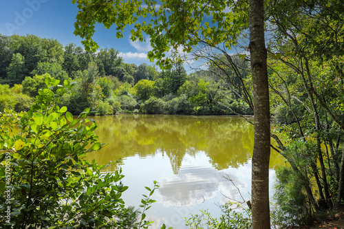 a stunning shot of the silky brown lake water at Candler Lake surrounded by lush green trees and plants reflecting off the lake with blue sky and clouds at Lullwater Preserve in Decatur Georgia photo